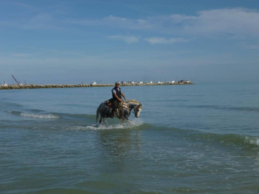 Elisir B & B Pescara Ngoại thất bức ảnh