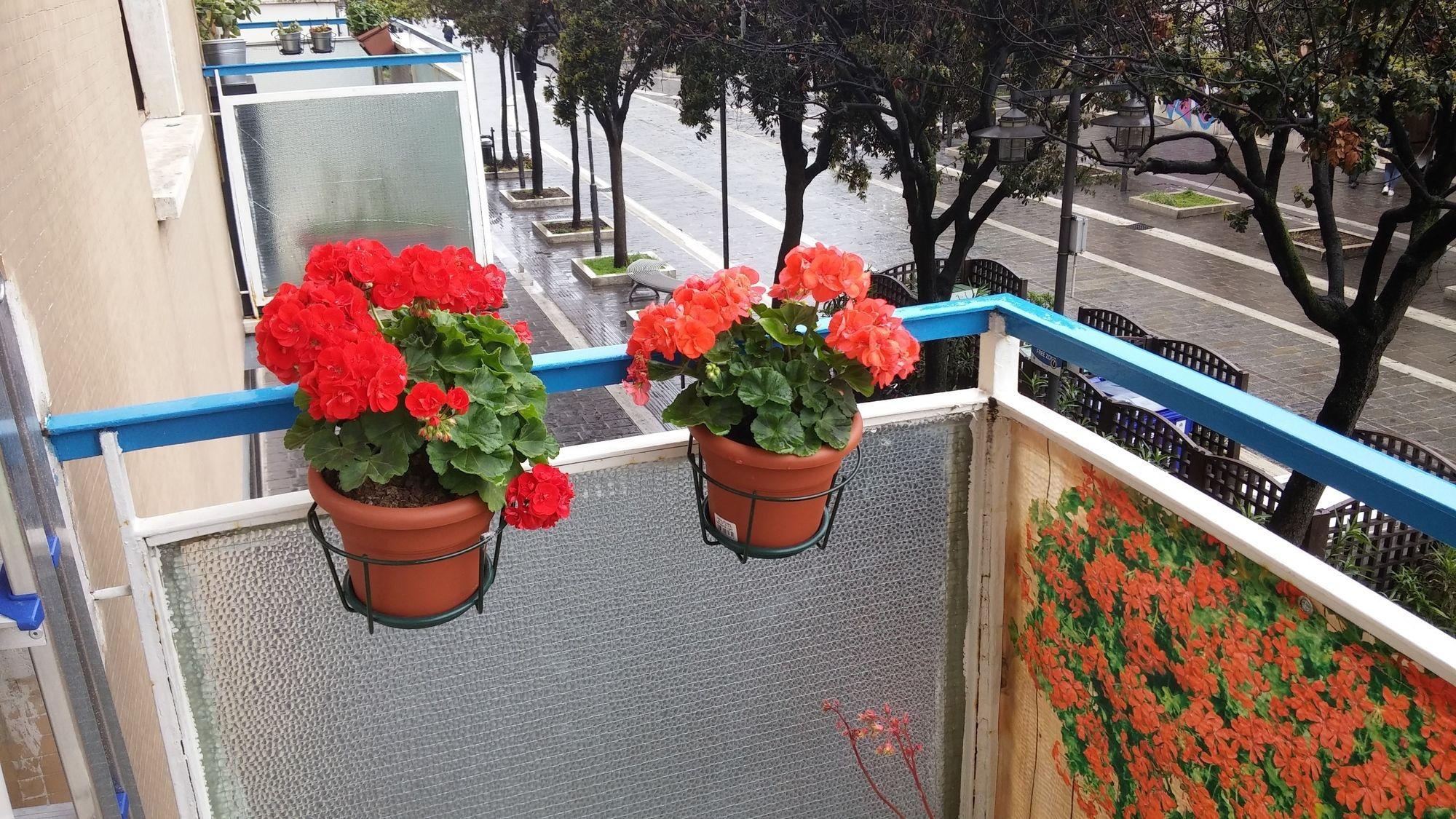 Elisir B & B Pescara Ngoại thất bức ảnh